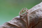 Irish Ring
