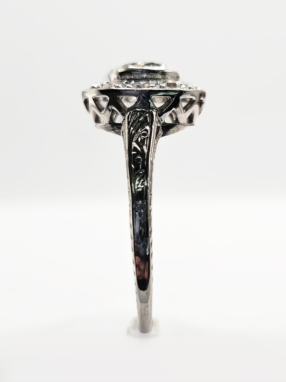 Affordable luxury platinum ring valued at €7500 standing